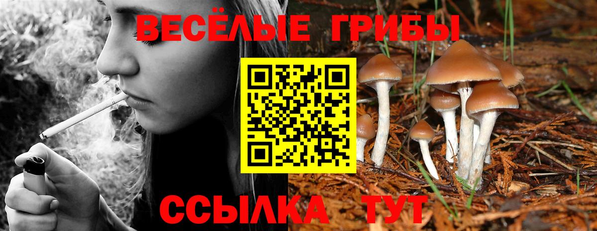 Псилоцибиновые грибы Cubensis  Вход с VPN  Арзамас 